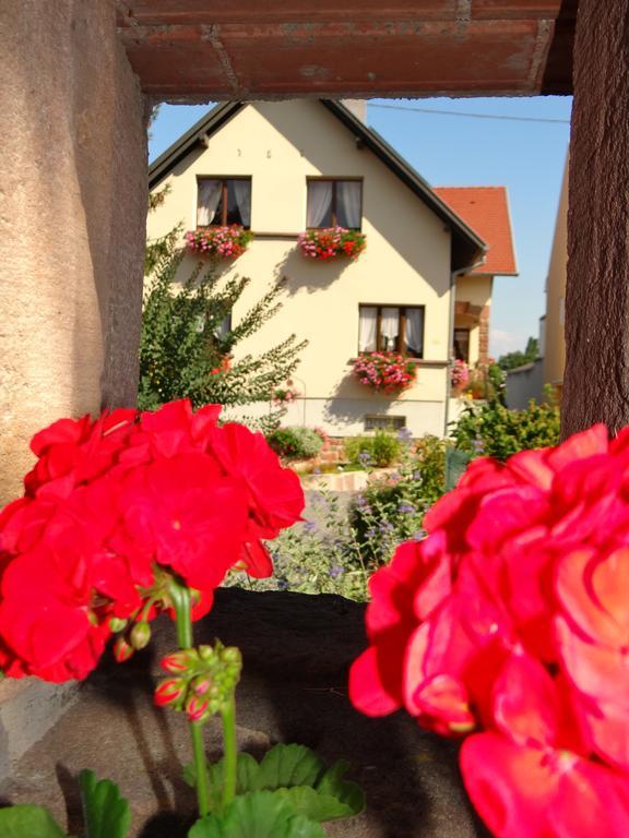 Chambre d'hôtes du Zellberg Nothalten Exterior foto