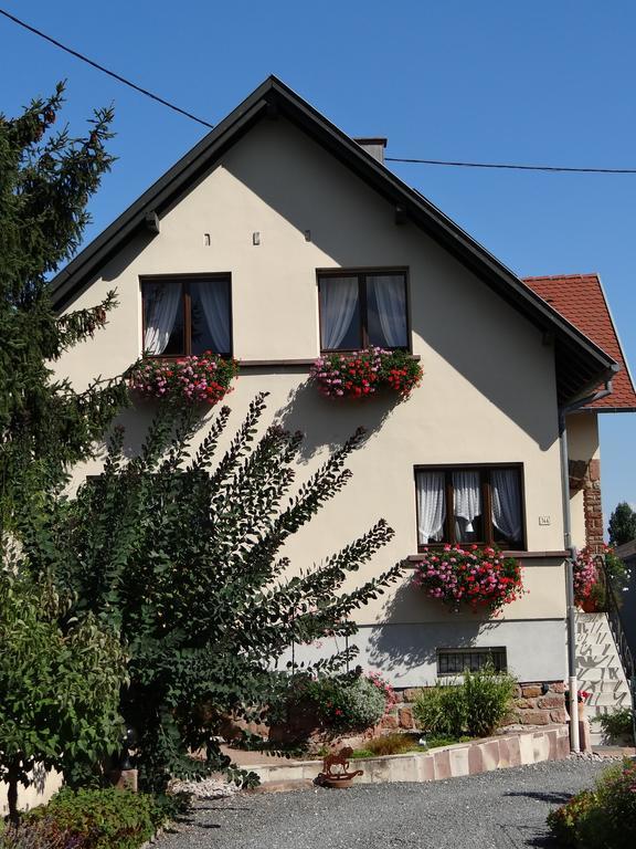 Chambre d'hôtes du Zellberg Nothalten Exterior foto